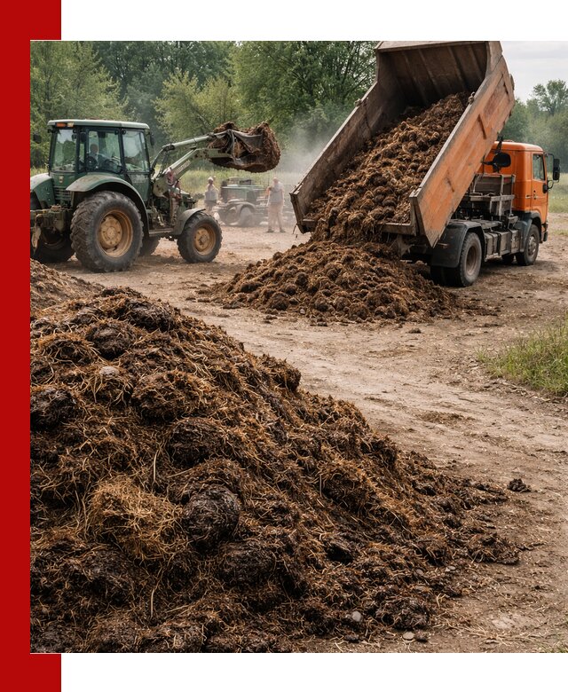 Доставка навоза самосвалами в Скопине для сельхозпотребностей