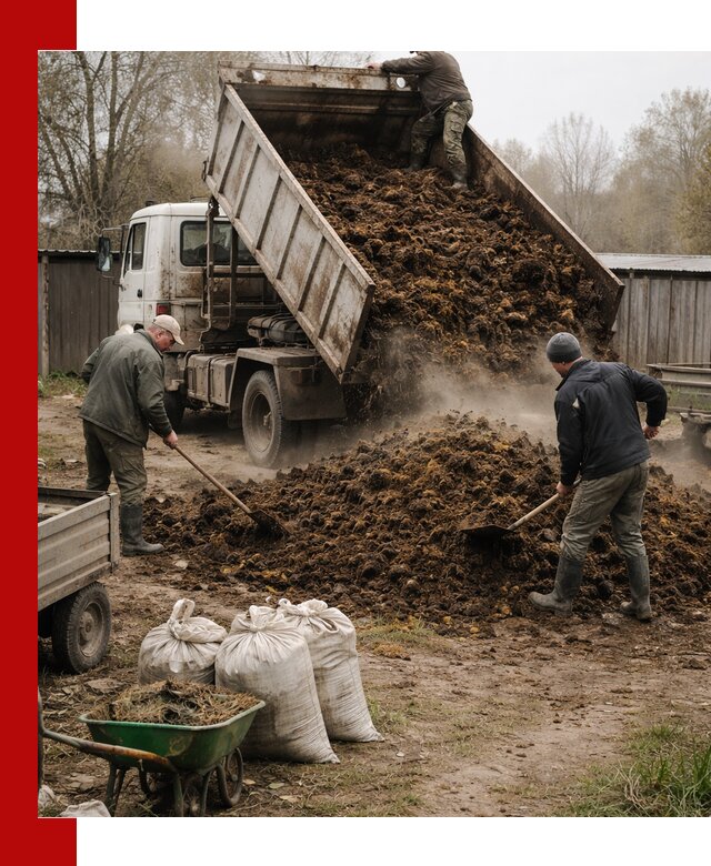 Доставка коровьего навоза самосвалом в Скопине